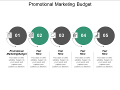 Promotional Marketing Budget Ppt PowerPoint Presentation Infographics Skills Cpb