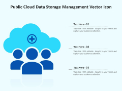 Public Cloud Data Storage Management Vector Icon Ppt PowerPoint Presentation Gallery Clipart Images PDF