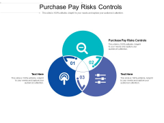 Purchase Pay Risks Controls Ppt PowerPoint Presentation File Layout Cpb Pdf