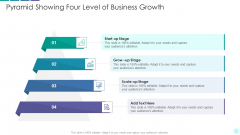 Pyramid Showing Four Level Of Business Growth Rules PDF