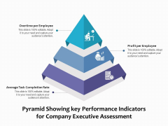 Pyramid Showing Key Performance Indicators For Company Executive Assessment Ppt PowerPoint Presentation Portfolio Rules PDF Pyramid Showing Key Performance Indicators For Company Executive Assessment Ppt PowerPoint Presentation Portfolio Rules PDF