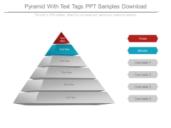 Pyramid With Text Tags Ppt Samples Download Pyramid With Text Tags Ppt Samples Download
