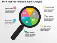 financial ratios analysis template
