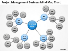 Project Management Business Mind Map Chart Ppt Plan PowerPoint Slides