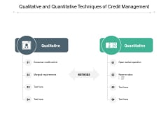Qualitative And Quantitative Techniques Of Credit Management Ppt PowerPoint Presentation Infographics Example Introduction