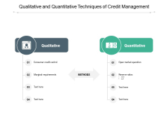 Qualitative And Quantitative Techniques Of Credit Management Ppt PowerPoint Presentation Infographics Example Introduction Qualitative And Quantitative Techniques Of Credit Management Ppt PowerPoint Presentation Infographics Example Introduction