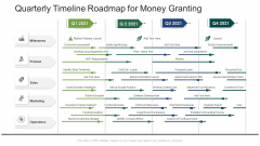 Quarterly Timeline Roadmap For Money Granting Structure