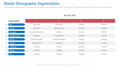 Regional Marketing Planning Market Demographic Segmentation Designs PDF