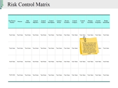 Risk Control Matrix Ppt PowerPoint Presentation File Infographics