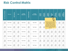 Risk Control Matrix Ppt PowerPoint Presentation Layouts Shapes