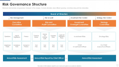 Risk Governance Structure Ppt Gallery Shapes PDF