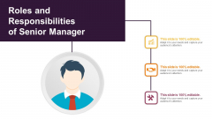 Roles And Responsibilities Of Senior Manager Ppt PowerPoint Presentation Slides Images PDF Roles And Responsibilities Of Senior Manager Ppt PowerPoint Presentation Slides Images PDF