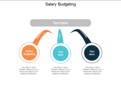 Salary Budgeting Ppt Powerpoint Presentation Professional Slideshow