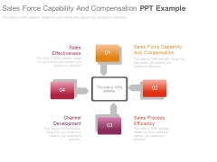 Sales Force Capability And Compensation Ppt Example Sales Force Capability And Compensation Ppt Example