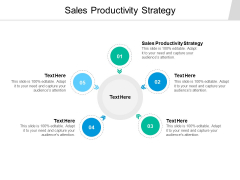 Sales Productivity Strategy Ppt PowerPoint Presentation Outline Picture Cpb