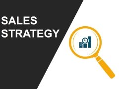 Sales Strategy Template 1 Ppt PowerPoint Presentation Example