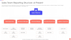 Sales Techniques Playbook Sales Team Reporting Structure At Present Infographics PDF