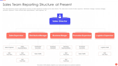 Sales Techniques Playbook Sales Team Reporting Structure At Present Infographics PDF Sales Techniques Playbook Sales Team Reporting Structure At Present Infographics PDF