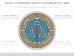 Sample Of Organization Structure Chart Powerpoint Topics