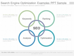 Search Engine Optimization Examples Ppt Sample