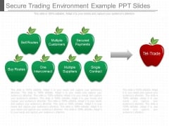 Secure Trading Environment Example Ppt Slides Secure Trading Environment Example Ppt Slides