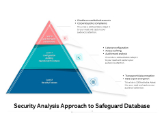 Security Analysis Approach To Safeguard Database Ppt PowerPoint Presentation Show Designs PDF Security Analysis Approach To Safeguard Database Ppt PowerPoint Presentation Show Designs PDF