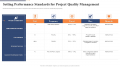 Setting Performance Standards For Project Quality Management Diagrams PDF