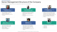 Shareholder Governance Enhance Comprehensive Corporate Performance Senior Management Structure Themes PDF
