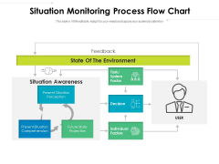 Situation Monitoring Process Flow Chart Ppt PowerPoint Presentation Pictures Show PDF