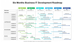 Six Months Business IT Development Roadmap Guidelines Six Months Business IT Development Roadmap Guidelines