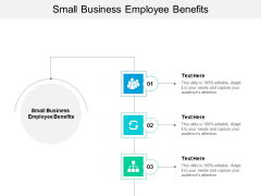 Small Business Employee Benefits Ppt PowerPoint Presentation Layouts Icons Cpb