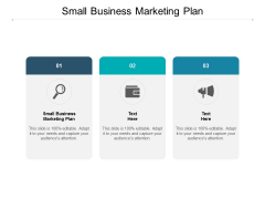 Small Business Marketing Plan Ppt PowerPoint Presentation Icon Display Cpb