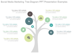 Social Media Marketing Tree Diagram Ppt Presentation Examples Social Media Marketing Tree Diagram Ppt Presentation Examples
