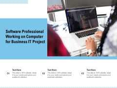 Software Professional Working On Computer For Business It Project Ppt PowerPoint Presentation Layouts Background Image PDF