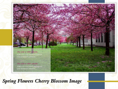 Spring Flowers Cherry Blossom Image Ppt PowerPoint Presentation Portfolio Templates PDF Spring Flowers Cherry Blossom Image Ppt PowerPoint Presentation Portfolio Templates PDF
