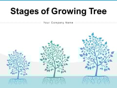 Stages Of Growing Tree Growth Resources Ppt PowerPoint Presentation Complete Deck Stages Of Growing Tree Growth Resources Ppt PowerPoint Presentation Complete Deck