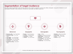 Startup Pitch To Raise Capital From Crowdfunding Segmentation Of Target Audience Portrait PDF Startup Pitch To Raise Capital From Crowdfunding Segmentation Of Target Audience Portrait PDF