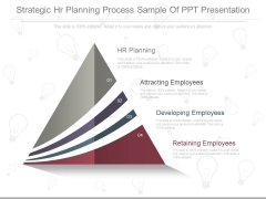 Strategic Hr Planning Process Sample Of Ppt Presentation Strategic Hr Planning Process Sample Of Ppt Presentation