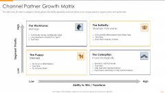 Strategic Partnership Management Plan Channel Partner Growth Matrix Icons PDF