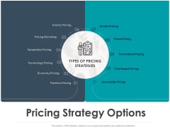 Strategic Plan For Companys Development Pricing Strategy Options Ppt PowerPoint Presentation Background Images Strategic Plan For Companys Development Pricing Strategy Options Ppt PowerPoint Presentation Background Images