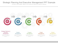 Strategic Planning And Executive Management Ppt Example Strategic Planning And Executive Management Ppt Example