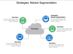 Strategies Market Segmentation Ppt PowerPoint Presentation Portfolio Format Cpb