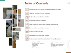 Successful Strategy Implementation Process Organization Table Of Contents Professional PDF Successful Strategy Implementation Process Organization Table Of Contents Professional PDF