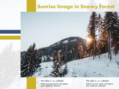 Sunrise Image In Snowy Forest Ppt PowerPoint Presentation Styles Slideshow PDF Sunrise Image In Snowy Forest Ppt PowerPoint Presentation Styles Slideshow PDF
