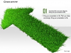 Stock Photo Arrow Made With Green Grass PowerPoint Slide Stock Photo Arrow Made With Green Grass PowerPoint Slide