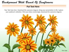 Stock Photo Background With Bunch Of Sunflowers PowerPoint Template