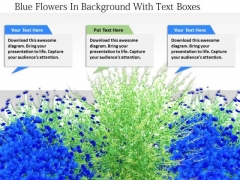 Stock Photo Blue Flowers In Background With Text Boxes PowerPoint Slide Stock Photo Blue Flowers In Background With Text Boxes PowerPoint Slide