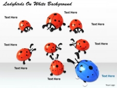 Stock Photo Blue Ladybird In Red Ladybirds PowerPoint Slide Stock Photo Blue Ladybird In Red Ladybirds PowerPoint Slide