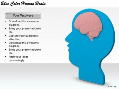 Stock Photo Business Policy And Strategy Blue Color Human Brain Clipart Stock Photo Business Policy And Strategy Blue Color Human Brain Clipart