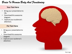Stock Photo Business Strategy Review Brain Human Body And Functioning Pictures Images Stock Photo Business Strategy Review Brain Human Body And Functioning Pictures Images